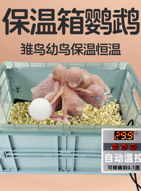 鹦鹉宠物保温箱控温加热垫鸟育雏