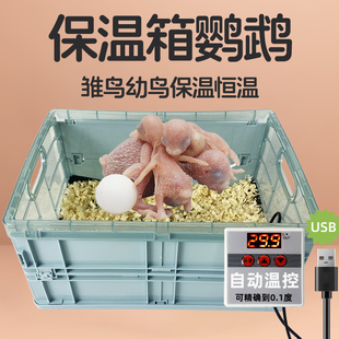 鹦鹉宠物保温箱控温usb加热垫育雏幼鸟智能自动恒温毯保暖器防水