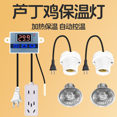 芦丁鸡保温灯温度控制恒温发热灯