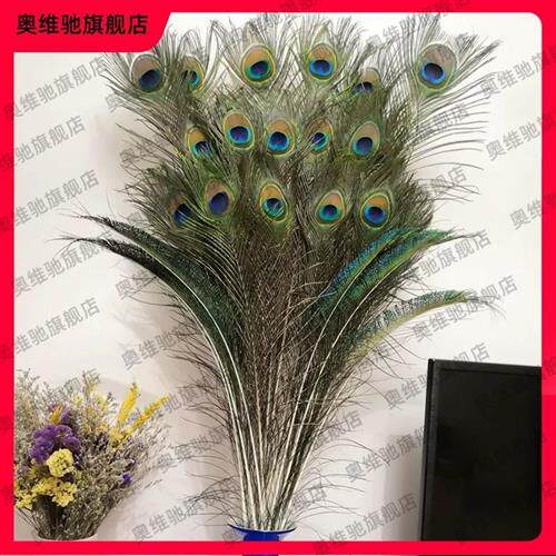 孔雀羽毛摆件客厅装饰花瓶花束插花蓝色摆件墙饰插瓶孔雀毛