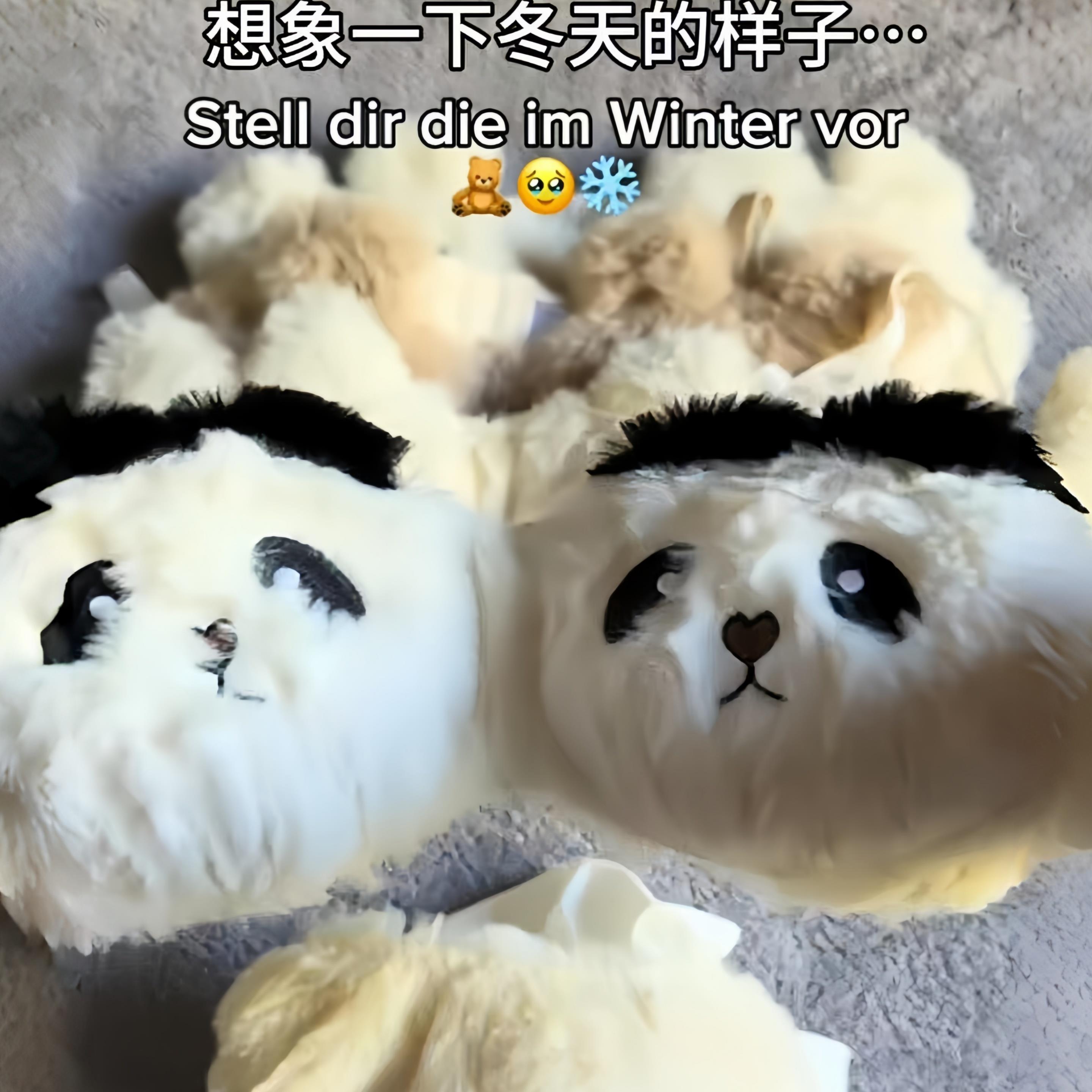 毛绒内衣可爱卡通小熊套装冬季女士保暖胸衣甜美少女心无钢圈文胸