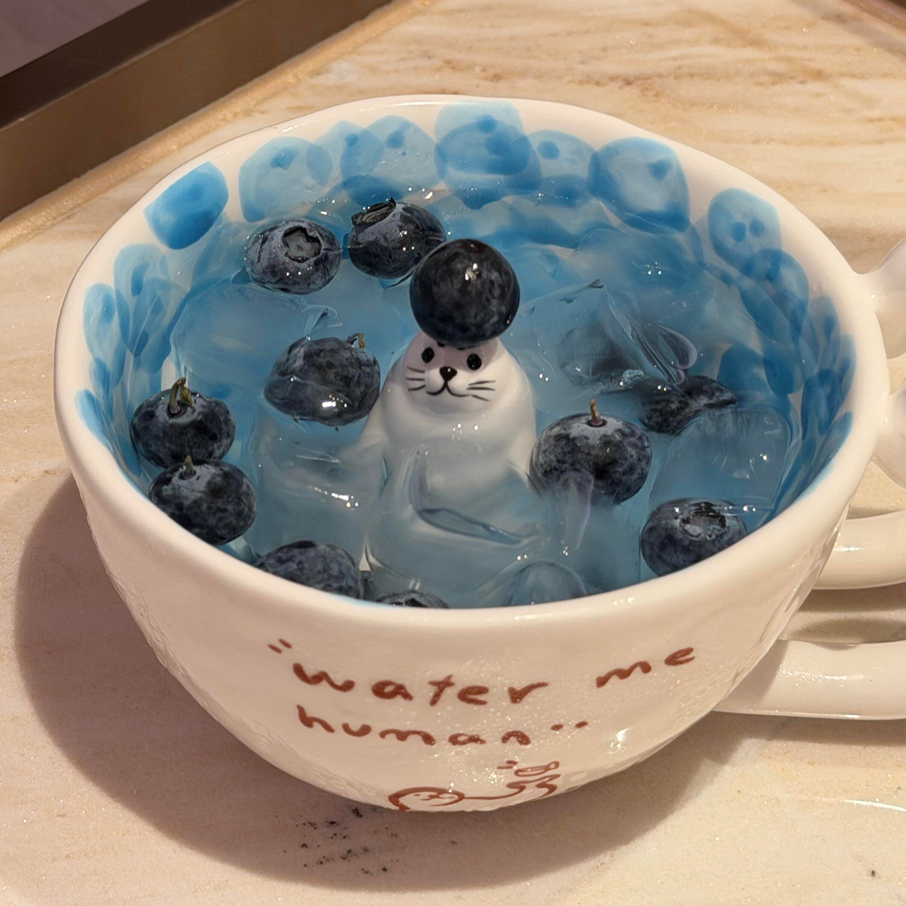 泳池海豹杯可爱卡通陶瓷杯日系马克杯高颜值手柄喝水杯创意伴手礼 - 实物图
