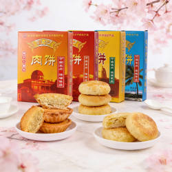 厦门鼓浪屿特产汪记馅饼肉饼凤梨酥素饼椰子饼传统糕点小吃2盒