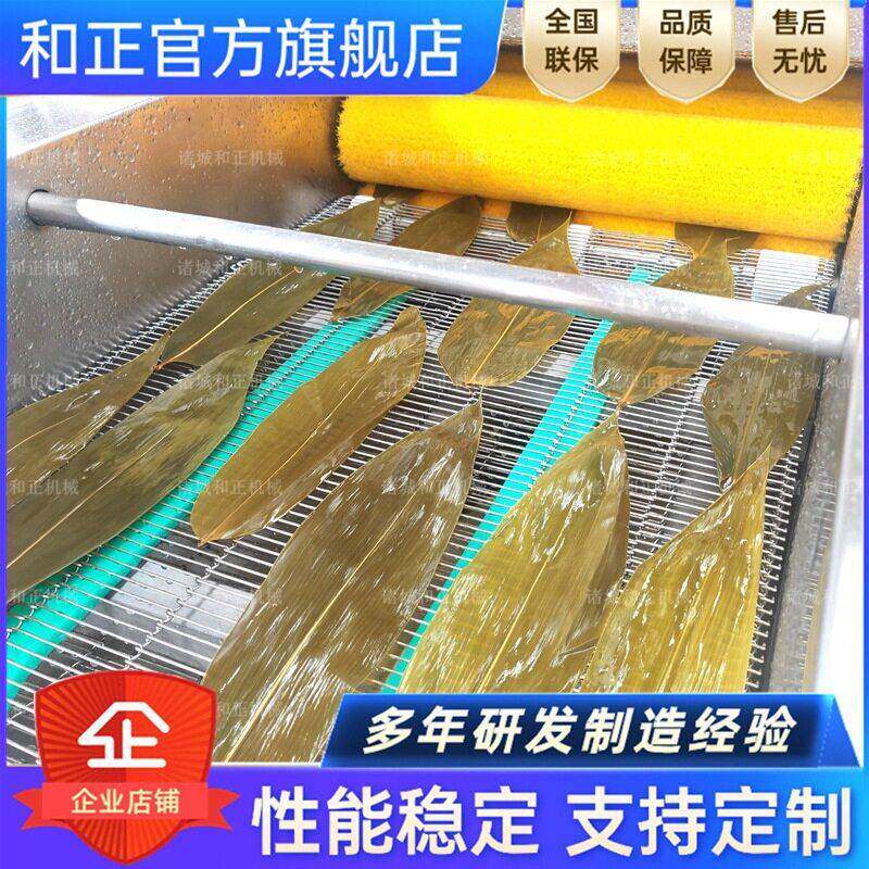 粽叶清洗芦苇叶胡叶清洗机器黄粑叶清洗设备洗枇杷叶箬竹叶机