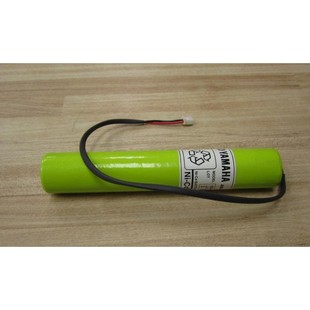 M4251 KR4 000 3.6V 机器人控制器电池 原装 雅马哈PLC YAMAHA