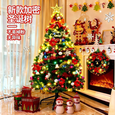 圣诞树2025新款加密家用客厅大摆件1.5/1.8/2.1米diy圣诞节装饰品