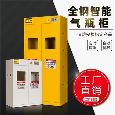 全钢防爆气瓶柜安全柜实验室氧气氩气氮气二氧化碳气体钢瓶储存柜