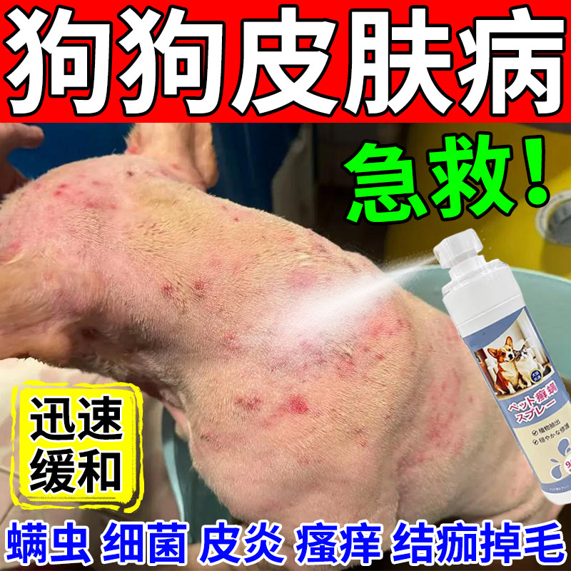 狗狗真菌病皮肤感染特专用效喷剂狗狗皮肤病真菌感染掉毛螨虫止痒