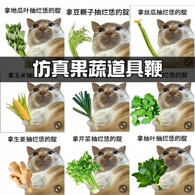 仿真豆橛子鞭子长豆角子家用教具PU材质手指教鞭小孩玩具果蔬道具