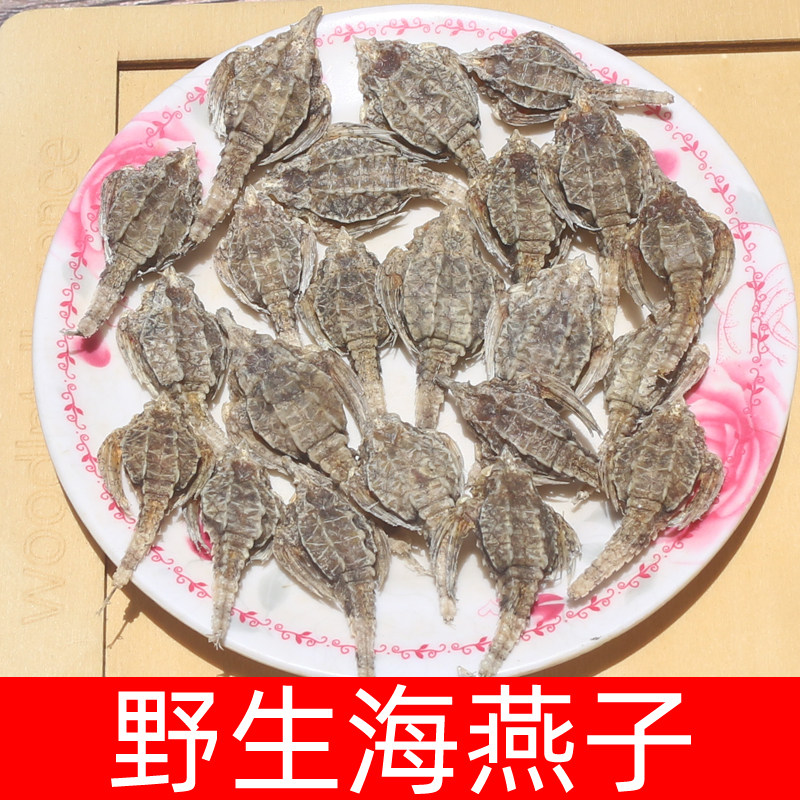 野生海燕子50克淡干无盐海麻雀干货煲汤泡酒材料