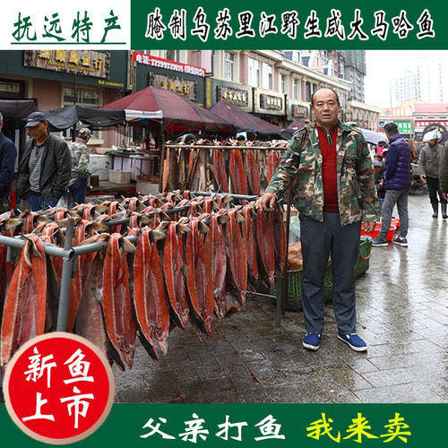 咸大马哈鱼新鱼整条腌制红肉