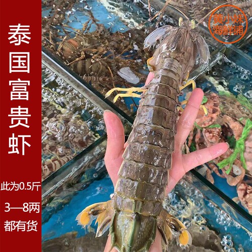 活体泰国富贵虾带膏虾皮皮虾濑尿