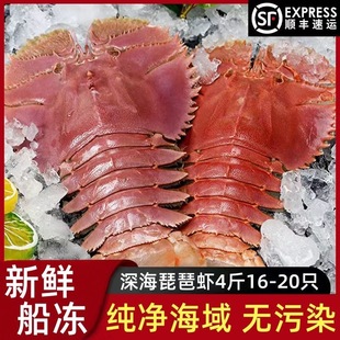 琵琶虾鲜活冷冻九齿扇虾皮皮虾超大新鲜海捕犀牛虾姑虾海鲜非进口