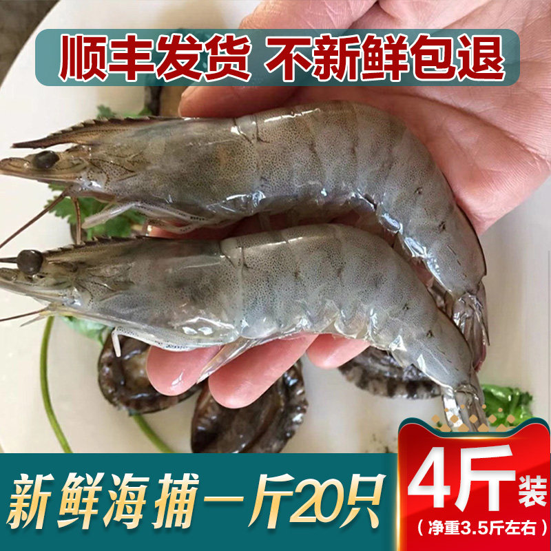 新鲜野生海捕新鲜冷冻超大虾对虾基围虾青虾明虾海虾整箱顺丰包邮
