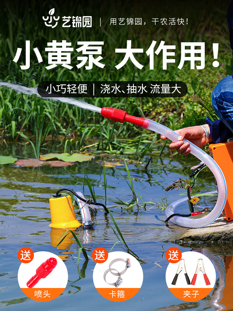 水泵电动抽水机家用潜水泵12v浇菜小型浇水机直流电抽水机