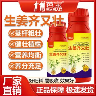 芭宝生姜齐又壮生姜专用增产叶片肥厚膨大增产增收专用绿色水溶开