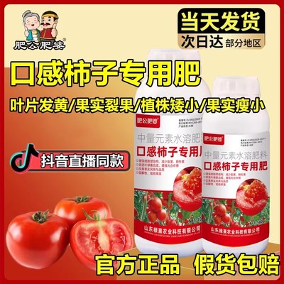 肥公肥婆口感柿子专用肥水果番茄西红柿防裂果膨大果实黄叶植株小