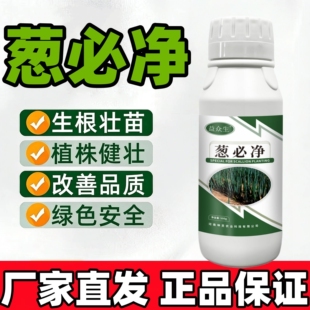 葱必净益众生大葱种植专用预防干尖比静黄叶提高免疫提质农药增产