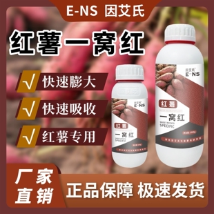 红薯一窝红因艾氏番薯种植专用调理土壤快速膨大增产增收水溶肥料