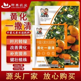 果树黄化一撒清黄化一撤清黄龙柑橘沃柑砂糖橘粑粑柑槟榔专用药