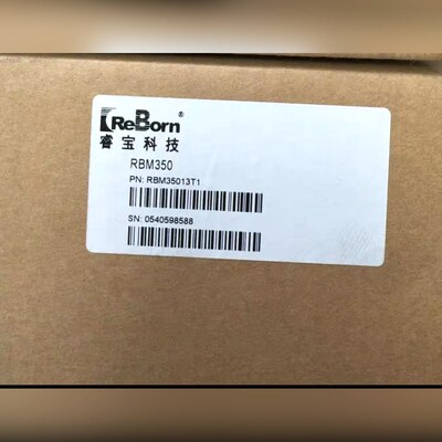 睿宝科技真空计RBM350 RBM35013T1 议价