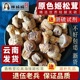 姬松茸干货 500g 云南特产无硫巴西菇食用野生菌菇松茸搭配羊肚菌