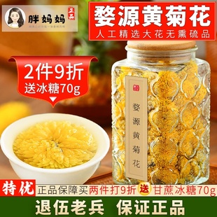 黄山徽州皇菊 干黄菊花 云台冰菊 野菊花泡茶 金丝贡菊特等级送礼