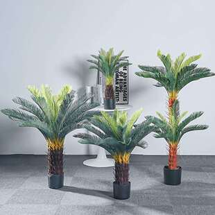 铁树苏铁树仿真绿植室内外轻奢风装饰盆栽落地摆件假树植物盆景