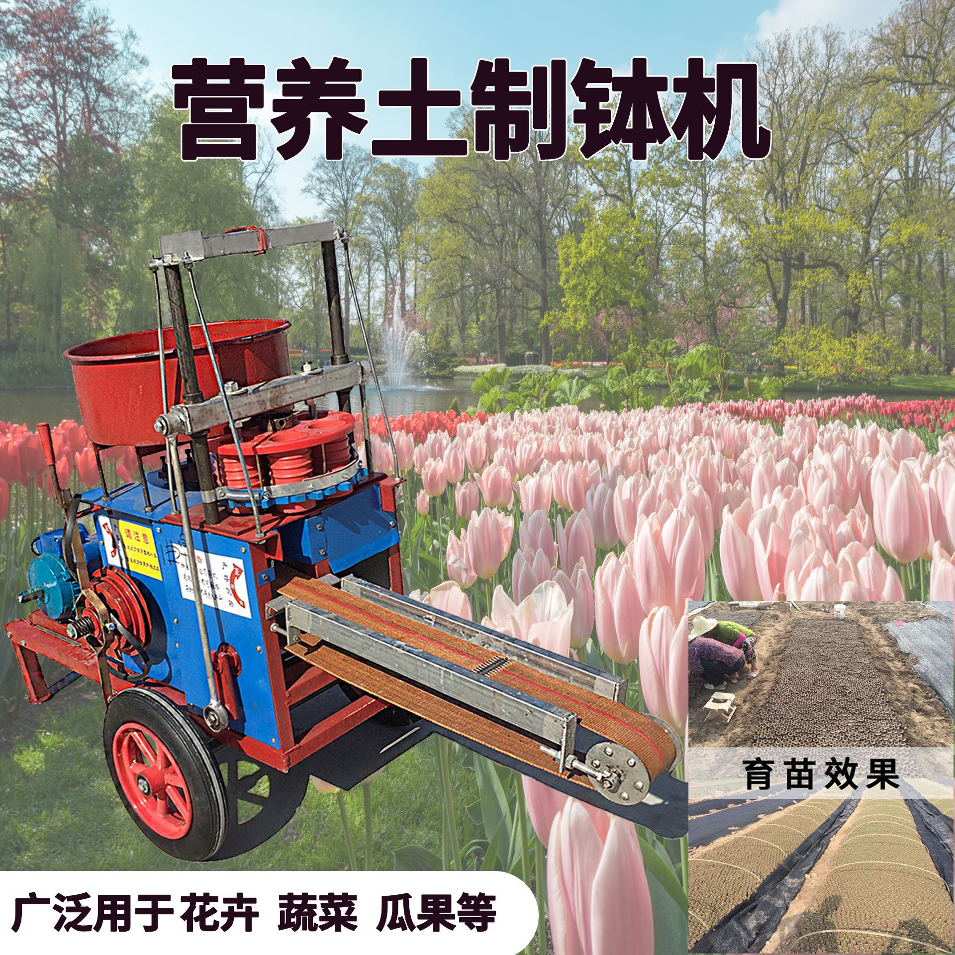 常青营养钵装土机花卉蔬菜苗