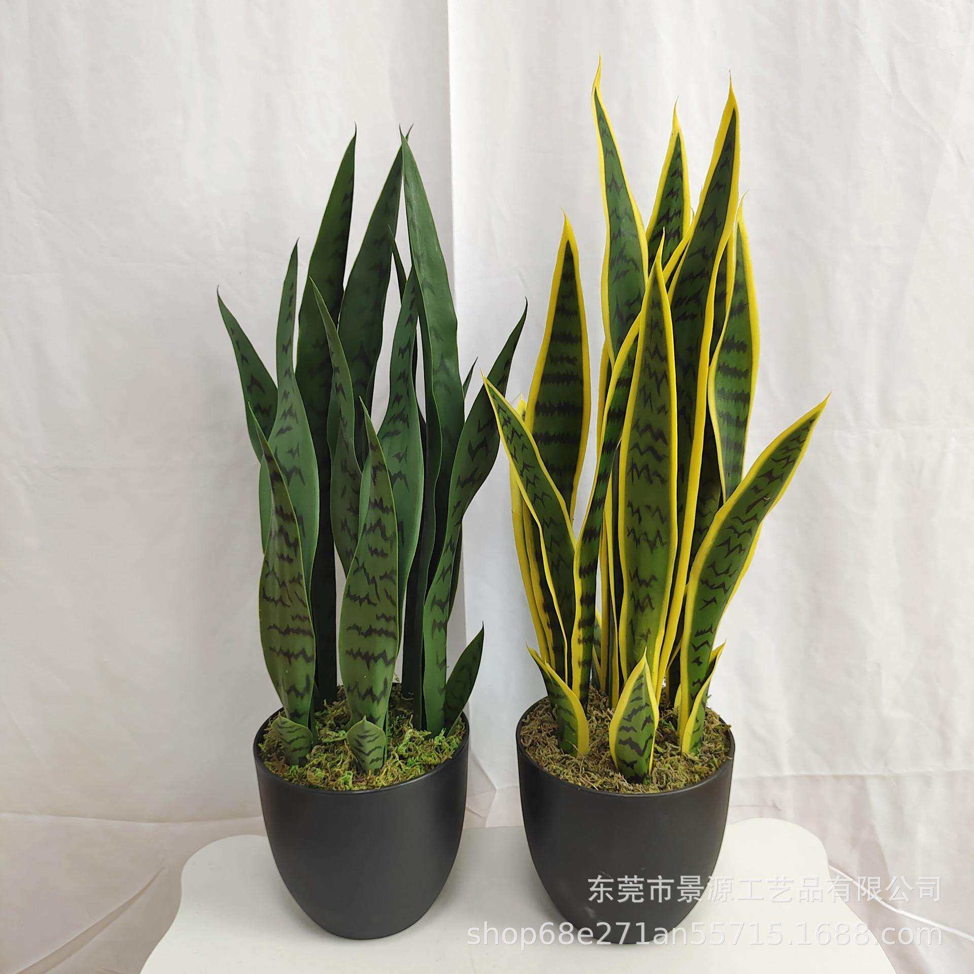 虎纹兰盆栽芦荟盆景家居办公室摆件橱窗造景绿植假花仿真绿植摆件