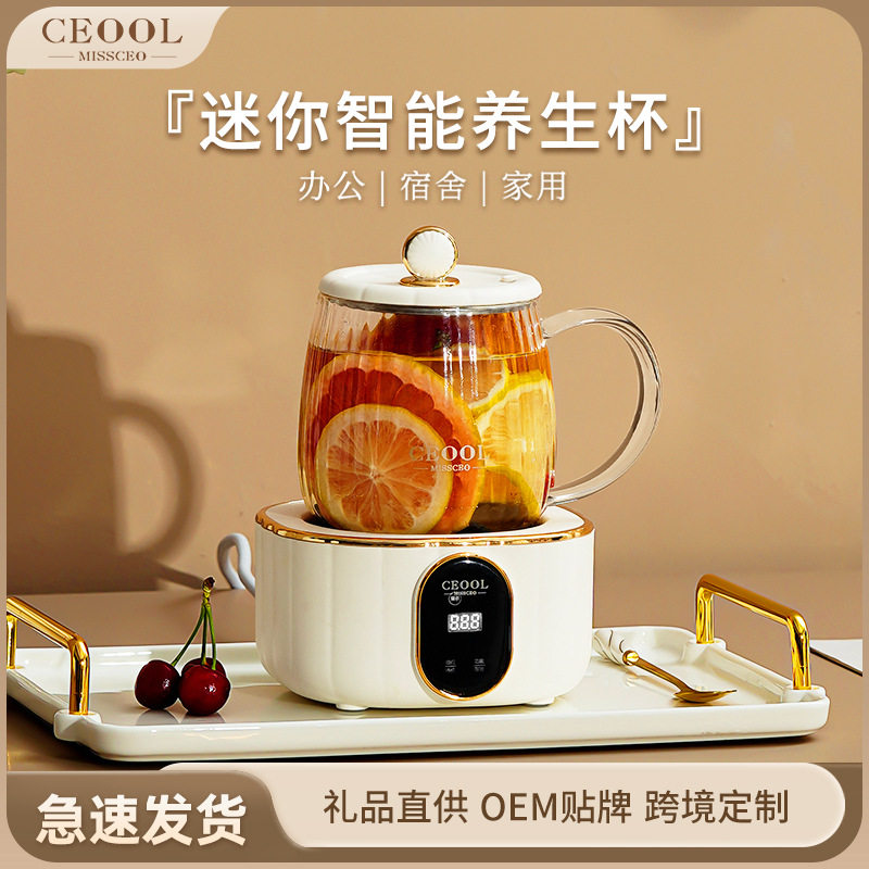 电炖杯多功能养生杯小型迷你电煮茶器加热一人用办公室恒温养生壶