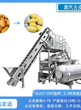 大型果蔬蒸汽去皮设备沙参土豆去皮机实力厂家