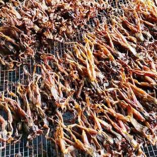 腊田鸡烘干机腊牛蛙烘干炉空气能全自动腊味箱式干燥设备