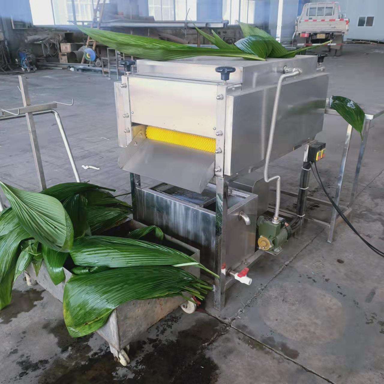 嘉兴粽叶清洗机水循环过滤洗粽叶机器全自动桲椤叶竹叶洗菜机厂