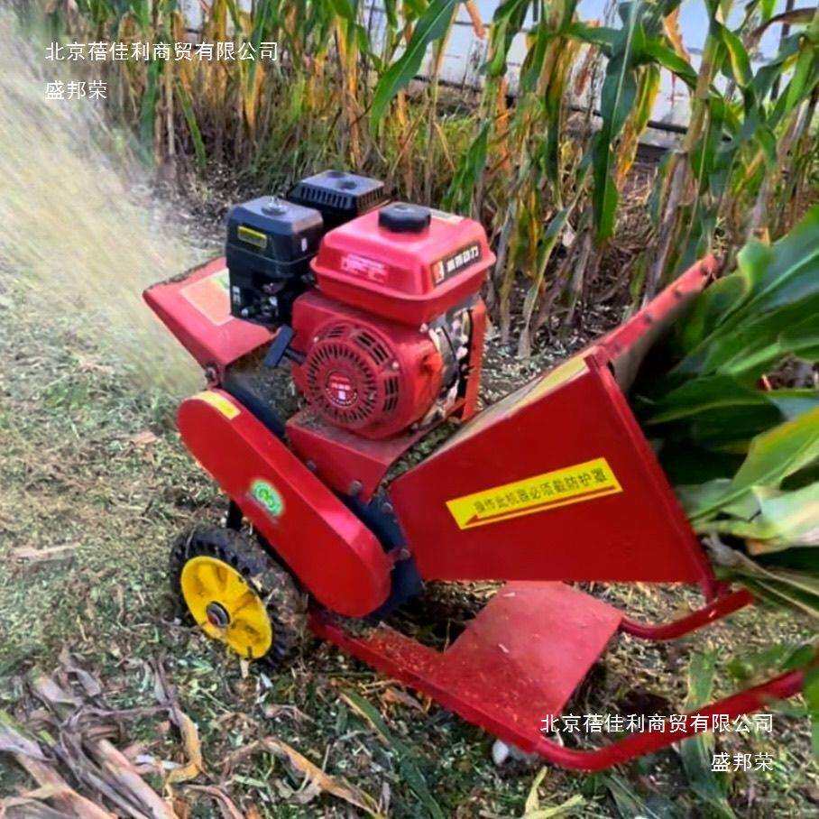 便携式移动铡草机家用小型秸秆粉碎机揉丝机养殖切草机树枝粉碎机