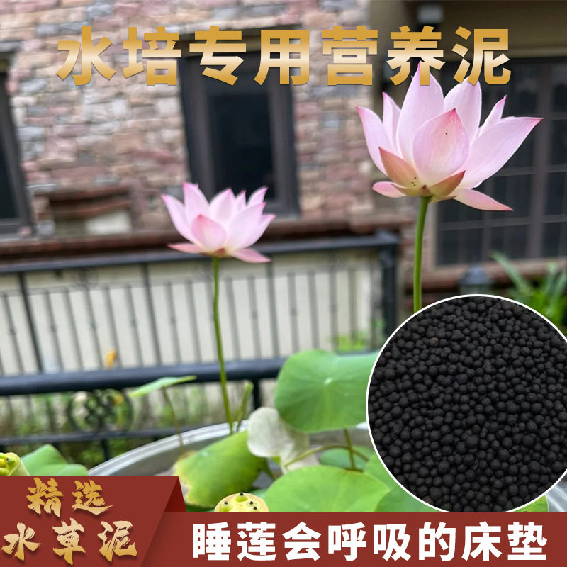碗莲专用泥睡莲土水草泥高肥力不臭水浑水荷塘泥水培铜钱草陶粒泥