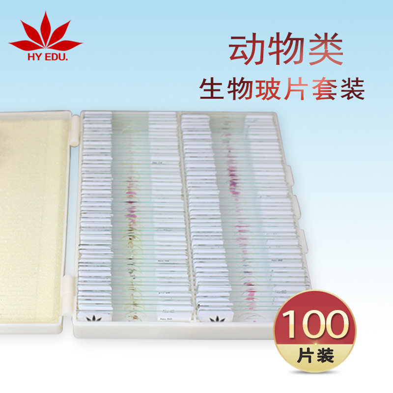 教学实验显微镜配件100片动物类生物玻片套装 成像清晰