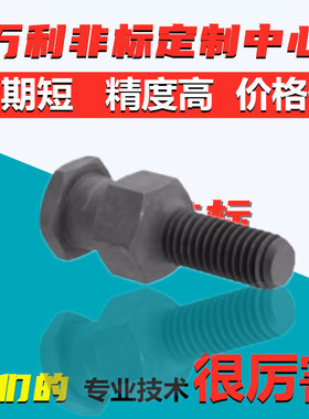 浮动接头 FJDSW/FJDL/FJD3/4/5/6/8/10/16/20/22 外螺纹型