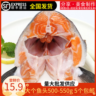 冰鲜三文鱼头500g-550g智利进口新鲜大个鱼头烧烤 红烧 餐饮食材