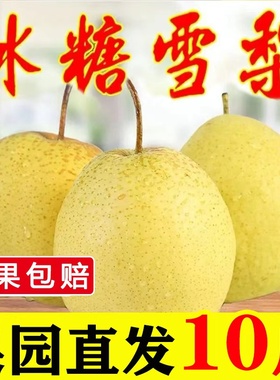 雪花梨赵县新鲜梨包邮雪梨水果新鲜当季梨子新鲜10雪梨整箱5斤9斤
