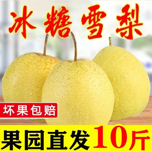 新鲜雪花梨赵县包邮当季整箱9斤