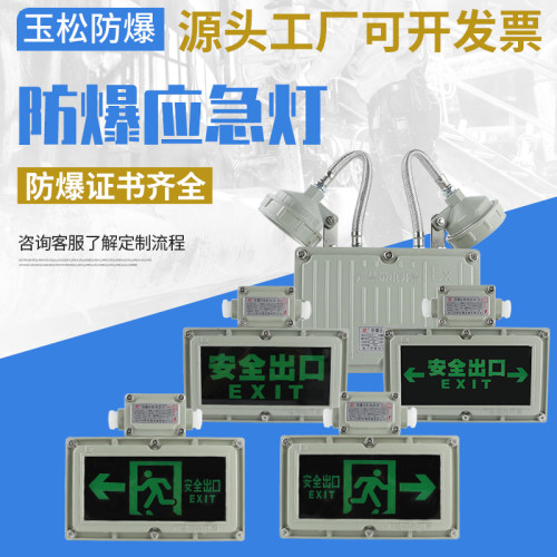 byy应急标志两用指示防爆照明