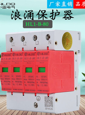 上海沪雷浪涌电涌保护器HL1-B-80家用电源防雷避雷器SPD防雷模块