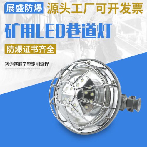 BGS18/127L矿用隔爆型LED巷道灯煤矿井下隧道防爆照明探照24W30瓦