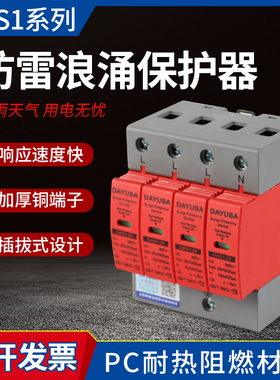 浪涌保护器光伏直流家用2P3P40KA急速防雷电源电涌工业防雷保护器