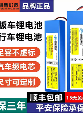 电动车滑板车锂电池36v48v12ah10ah希洛普小海豚48v15ah