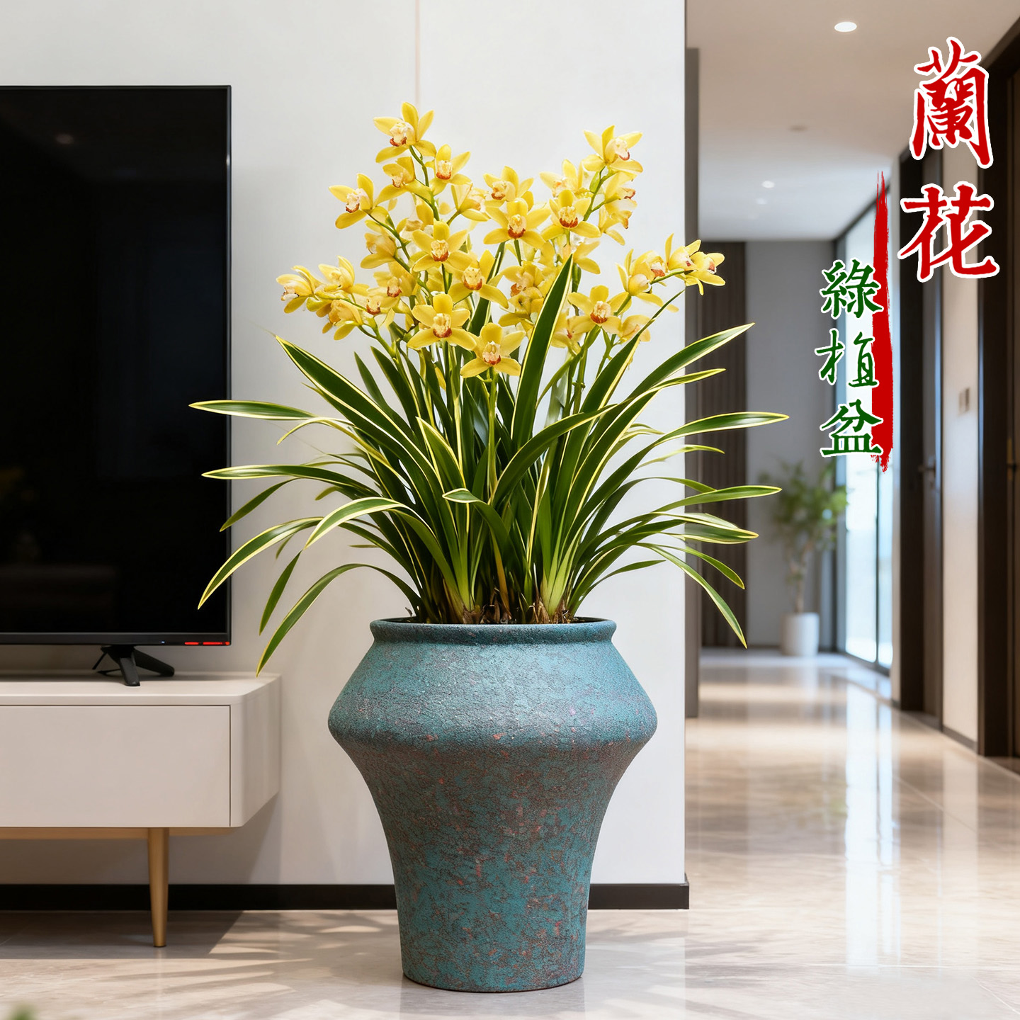 特大口径兰花三角梅花盆绿植粗陶盆家用客厅高盆陶瓷多肉植物特价