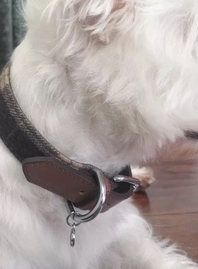 Rosewood 宠物猫咪狗狗项圈 苏格兰格子 牛绒 牵引绳 西高地柯基