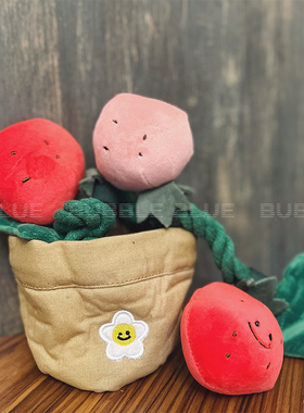 INS风小草莓盆栽藏食套装毛绒发声狗狗玩具幼犬磨牙耐咬比熊泰迪