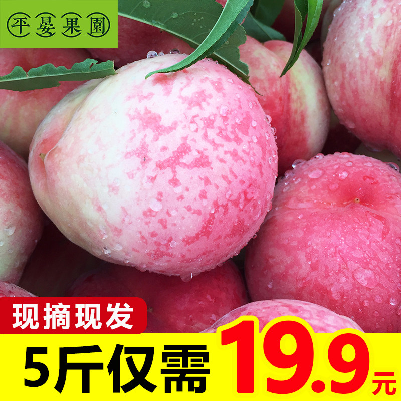 平晏果园水蜜桃水果新鲜10斤超甜